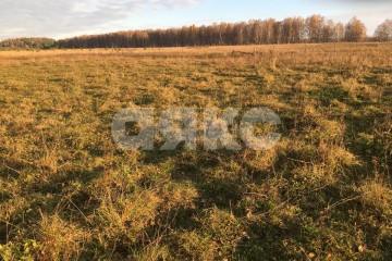 Фото №1: Коммерция 80000 м² - Ростов-на-Дону, р. Железнодорожный, 