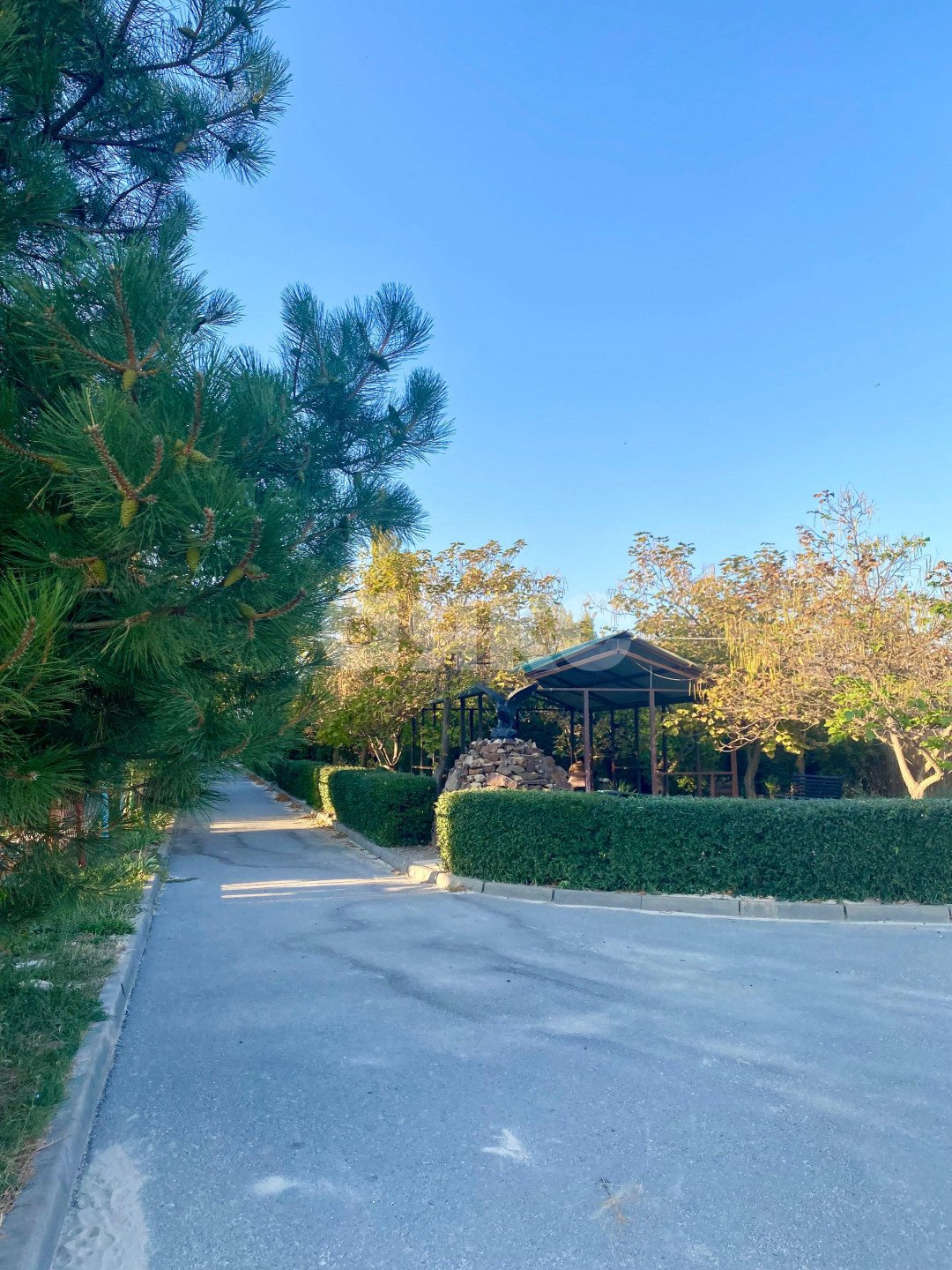 Фото №8: Коммерция 2000 м² - Натальевка, ул. Чехова, 224