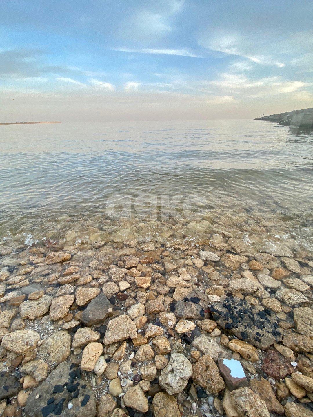 Фото №6: Коммерция 2000 м² - Натальевка, ул. Чехова, 224