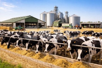 Фото №1: Коммерческая земля - Краснодар, мкр. Центральный, ул. Главная городская площадь