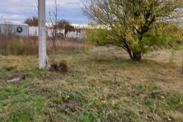 Фото №2: Земельный участок под ИЖС 12 сот. - Октябрьский, мкр. Прикубанский внутригородской округ, ул. Маршала Одинцова