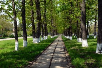 Фото №1: Земельный участок под ИЖС 12 сот. - Октябрьский, мкр. Прикубанский внутригородской округ, ул. Маршала Одинцова