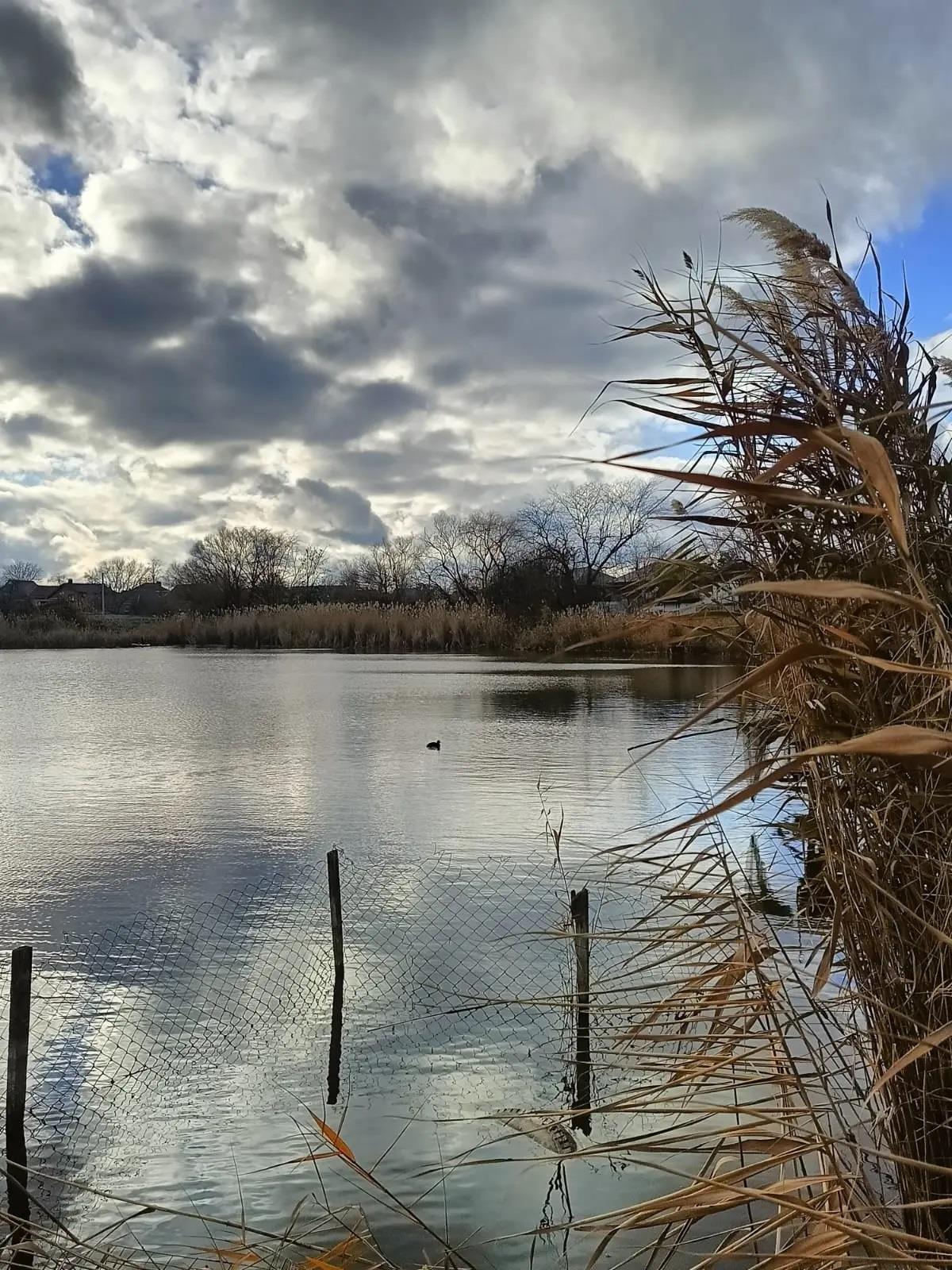 Фото №19: Дом 53 м² + 10.9 сот. - Динская