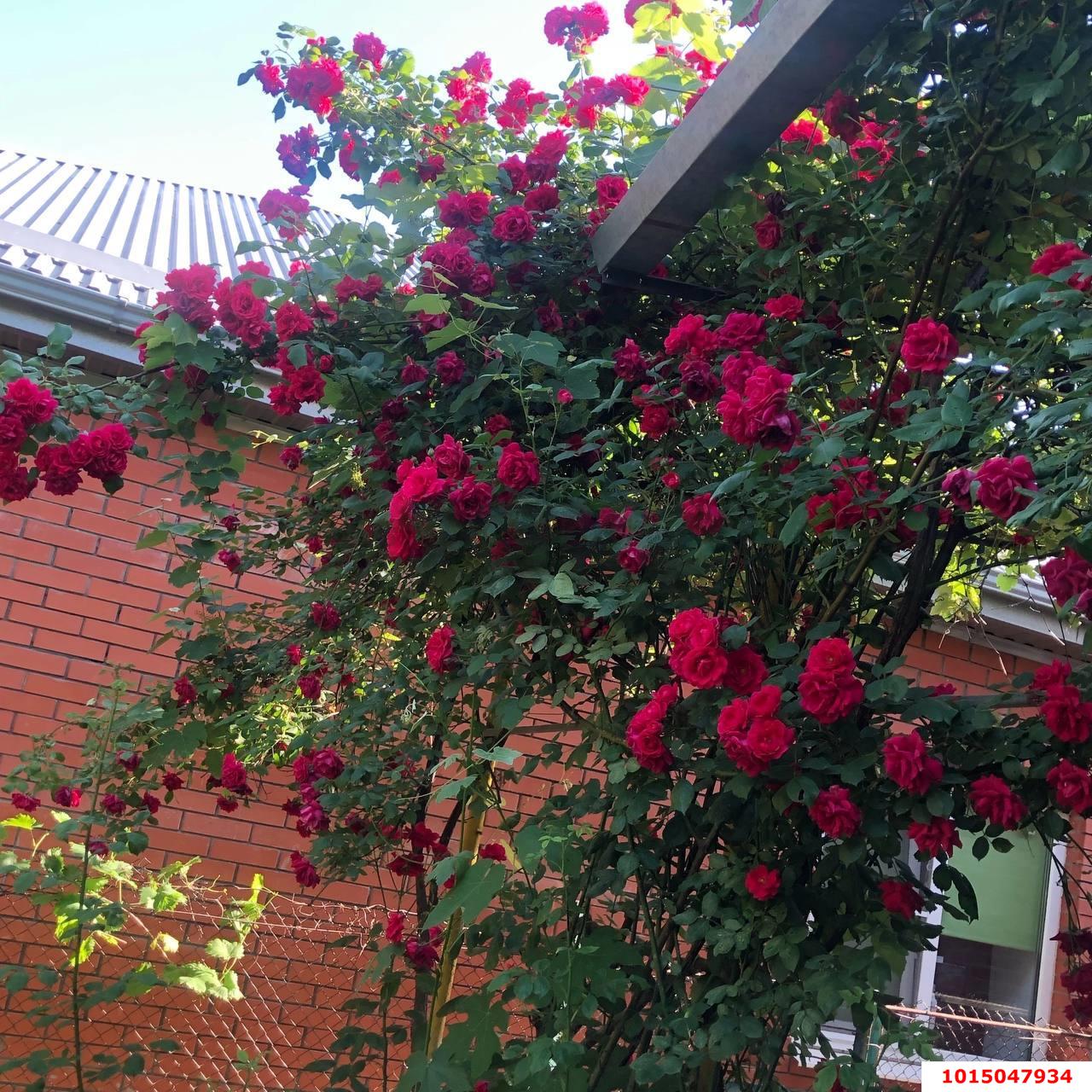 Фото №2: Дом 42 м² + 3 сот. - Краснодар, Табачная Фабрика, ул. Дачная, 144