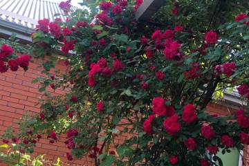 Фото №3: Дом 42 м² - Краснодар, мкр. Табачная Фабрика, ул. Дачная, 144