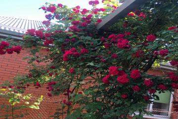 Фото №3: Дом 42 м² - Краснодар, мкр. Табачная Фабрика, ул. Дачная, 144