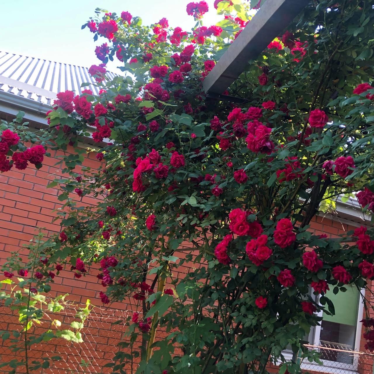 Фото №3: Дом 42 м² + 3 сот. - Краснодар, Прикубанский внутригородской округ, мкр. Табачная Фабрика, ул. Дачная, 144