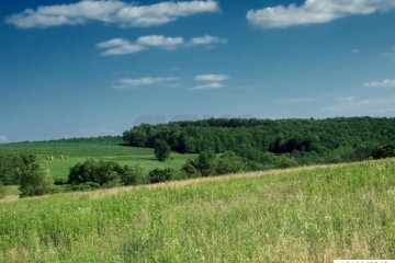 Фото №3: Земельный участок под ИЖС 9.27 сот. - Новобжегокай, ул. Ленина, 11