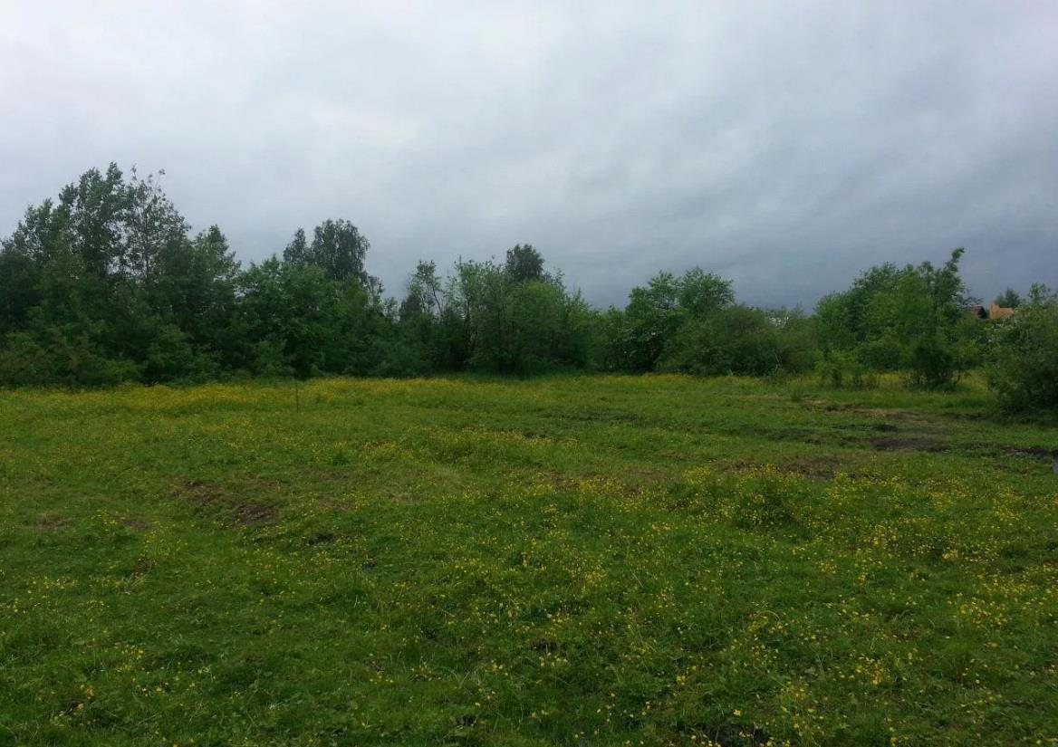 Фото №2: Земельный участок 9.27 сот. - Новобжегокай, ул. Ленина, 11