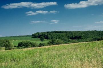 Фото №3: Земельный участок 9.27 сот. - Новобжегокай, ул. Ленина, 11