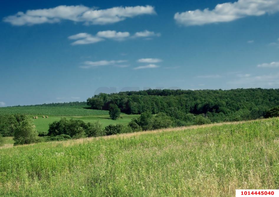 Фото №3: Земельный участок под ИЖС 9.27 сот. - Новобжегокай, ул. Ленина, 11