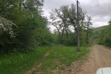 Фото №4: Земельный участок 23 сот. - Горное, ул. Заречная, 14