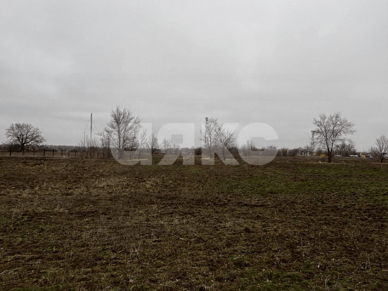 Фото №9: Коммерческая земля 50 сот. - Бурковский, ул. Фрунзенская