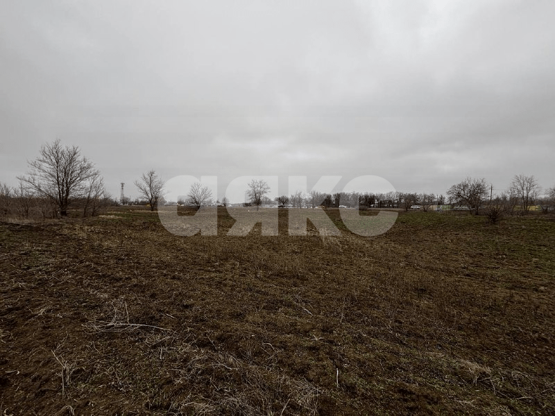 Фото №10: Коммерческая земля 50 сот. - Бурковский, ул. Фрунзенская