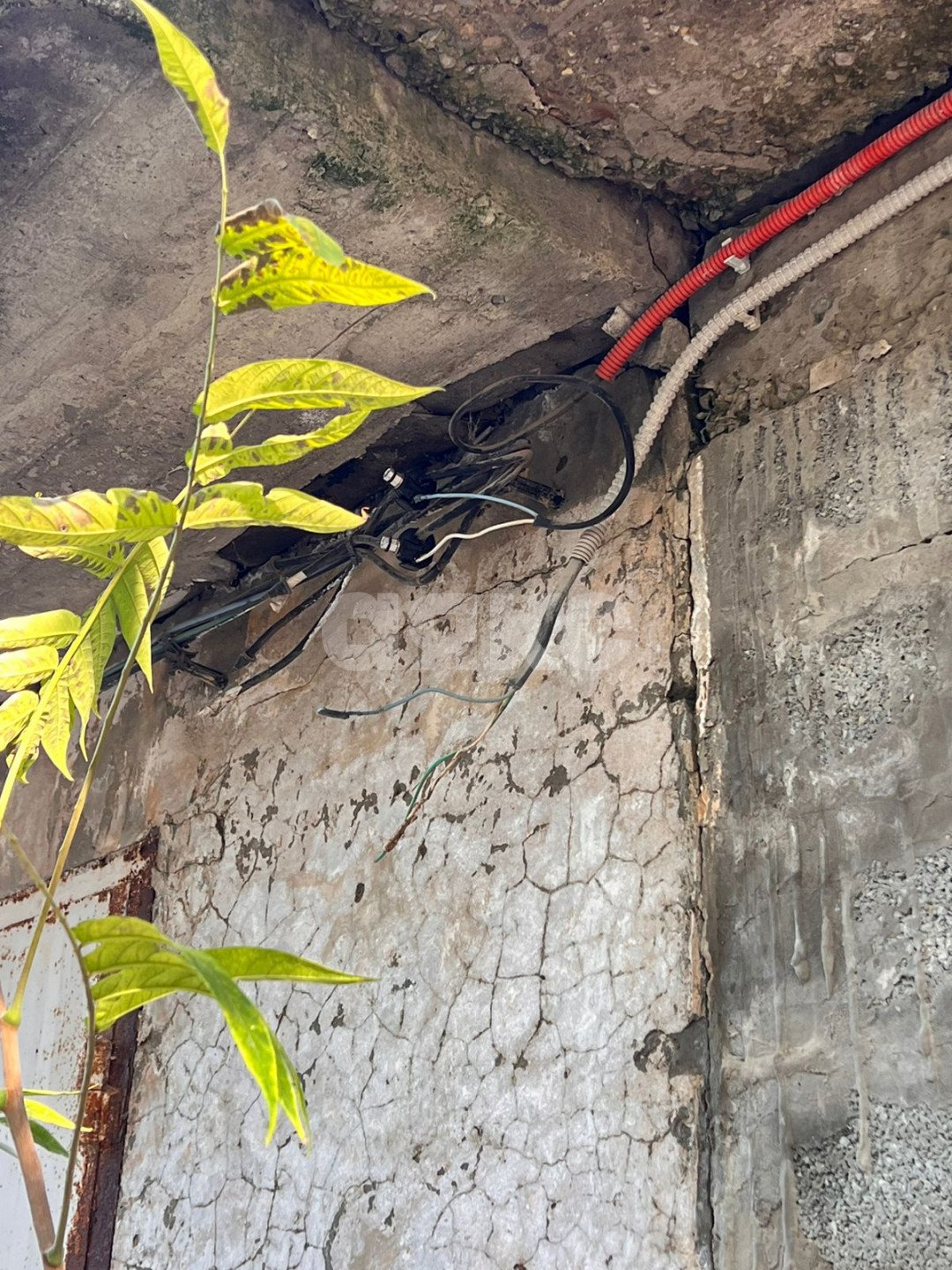 Фото №5: Гараж 37 м² - Дивноморское, ул. Кирова