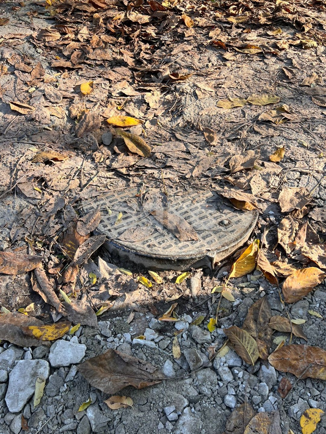 Фото №6: Гараж 37 м² - Дивноморское, ул. Кирова