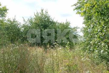 Фото №3: Коммерческая земля - Краснодарский край городской округ Горячий Ключ