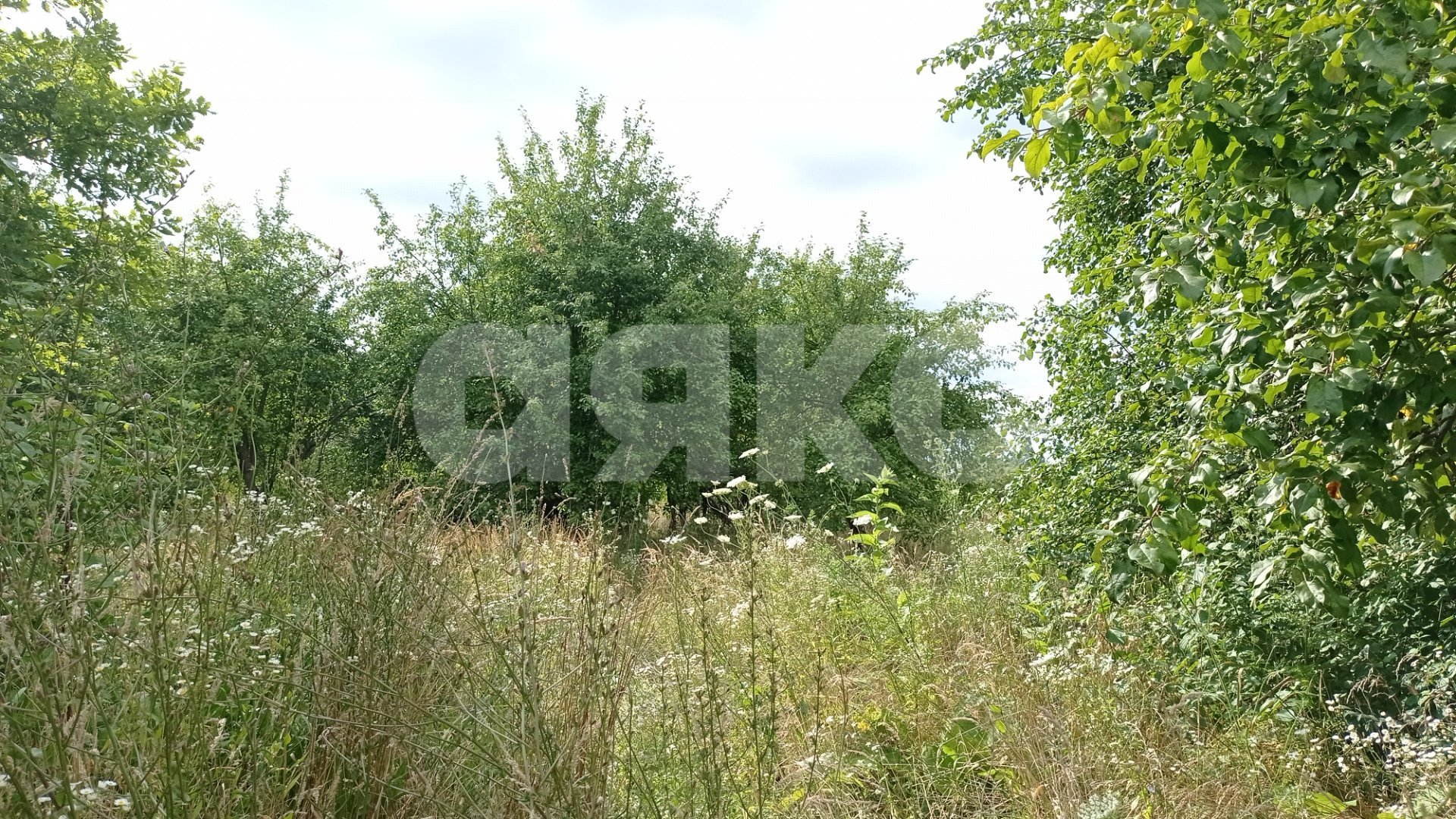 Фото №3: Коммерческая земля 5 сот. - Краснодарский край городской округ Горячий Ключ