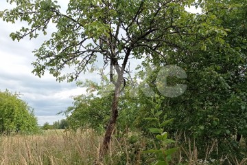 Фото №2: Коммерческая земля - Краснодарский край городской округ Горячий Ключ