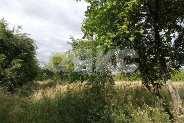 Фото №4: Коммерческая земля - Краснодарский край городской округ Горячий Ключ