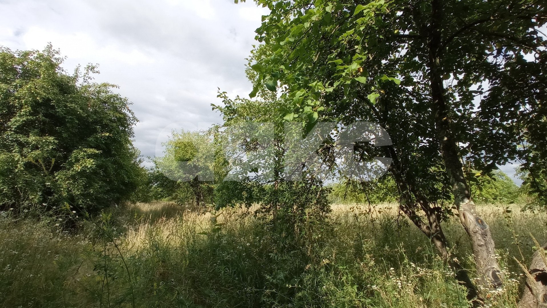 Фото №4: Коммерческая земля 5 сот. - Краснодарский край городской округ Горячий Ключ