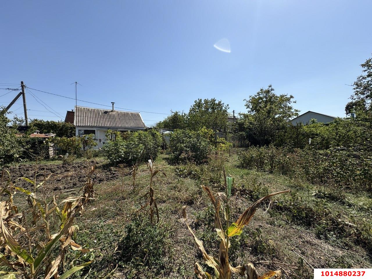 Фото №3: Дача 25 м² + 6 сот. - Елизаветинская, Градостроитель, ул. Сиреневая