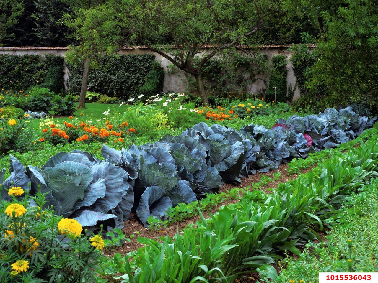 Фото №6: Личное подсобное хозяйство - Октябрьский, Прикубанский внутригородской округ, ст Радужное, ул. Въездная, 338