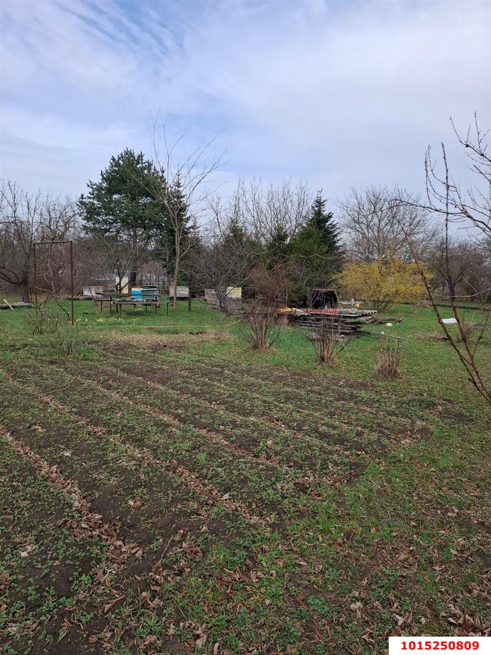 Фото №5: Участок садоводство 9.38 сот. - Янтарь, Карасунский внутригородской округ, ул. Янтарная, 183