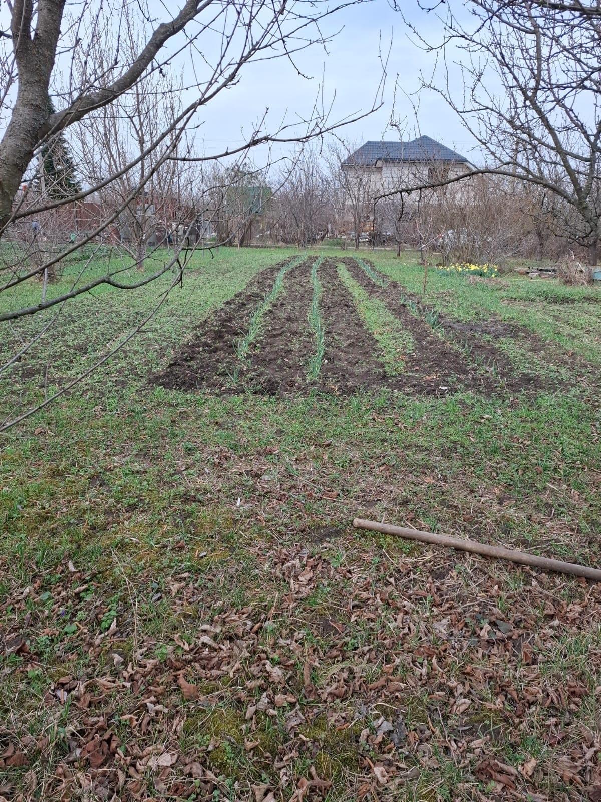 Фото №14: Земельный участок 9.38 сот. - Янтарь, мкр. Карасунский внутригородской округ, ул. Янтарная, 183