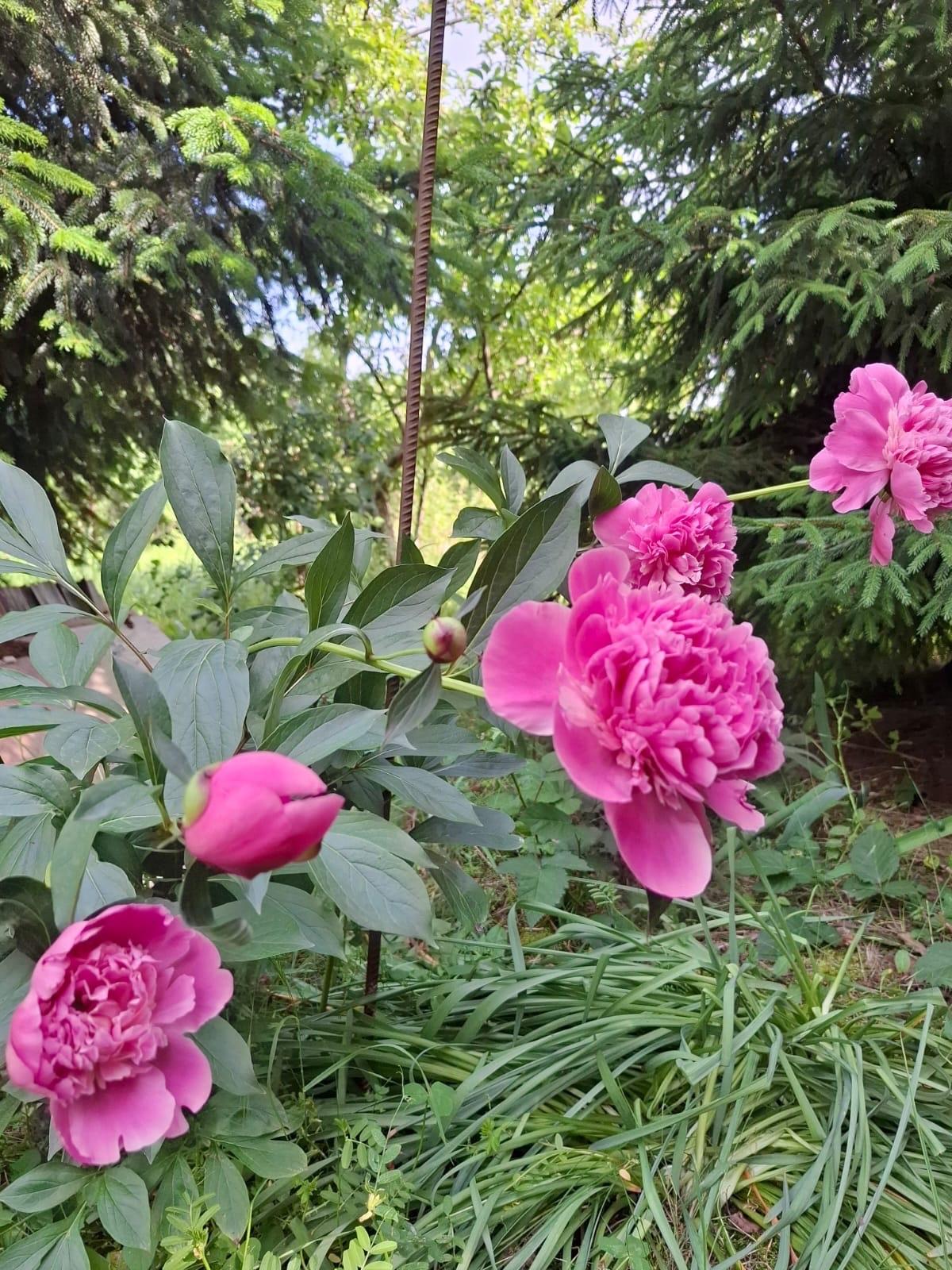 Фото №3: Земельный участок 9.38 сот. - Янтарь, мкр. Карасунский внутригородской округ, ул. Янтарная, 183