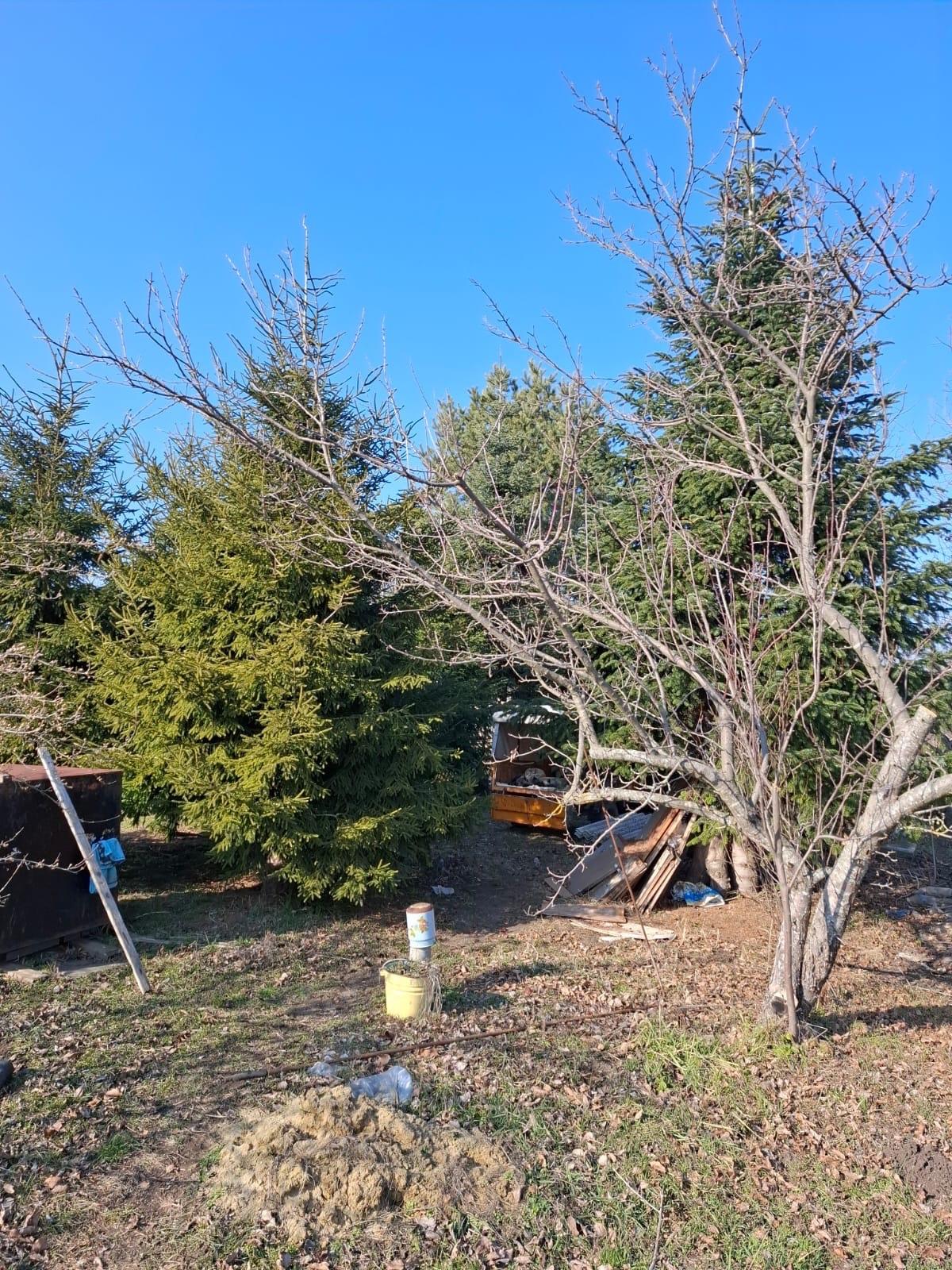 Фото №9: Земельный участок 9.38 сот. - Янтарь, мкр. Карасунский внутригородской округ, ул. Янтарная, 183