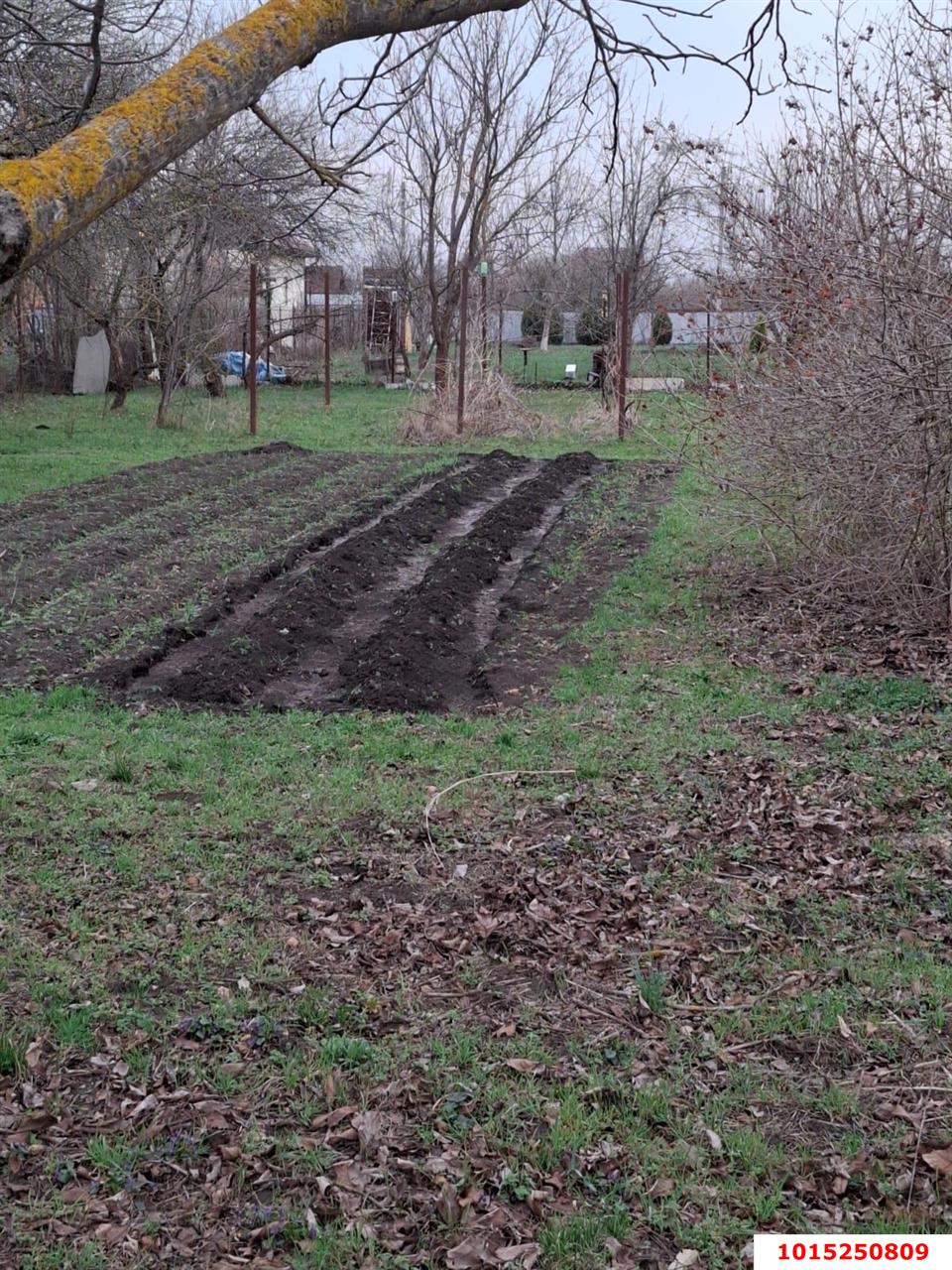 Фото №7: Участок садоводство 9.38 сот. - Янтарь, Карасунский внутригородской округ, ул. Янтарная, 183