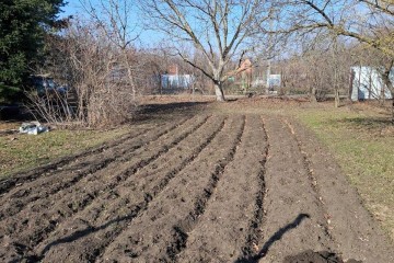 Фото №4: Участок садоводство 9.38 сот. - Янтарь, мкр. Карасунский внутригородской округ, ул. Янтарная, 183