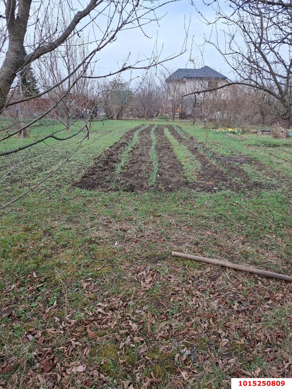 Фото №14: Участок садоводство 9.38 сот. - Янтарь, Карасунский внутригородской округ, ул. Янтарная, 183