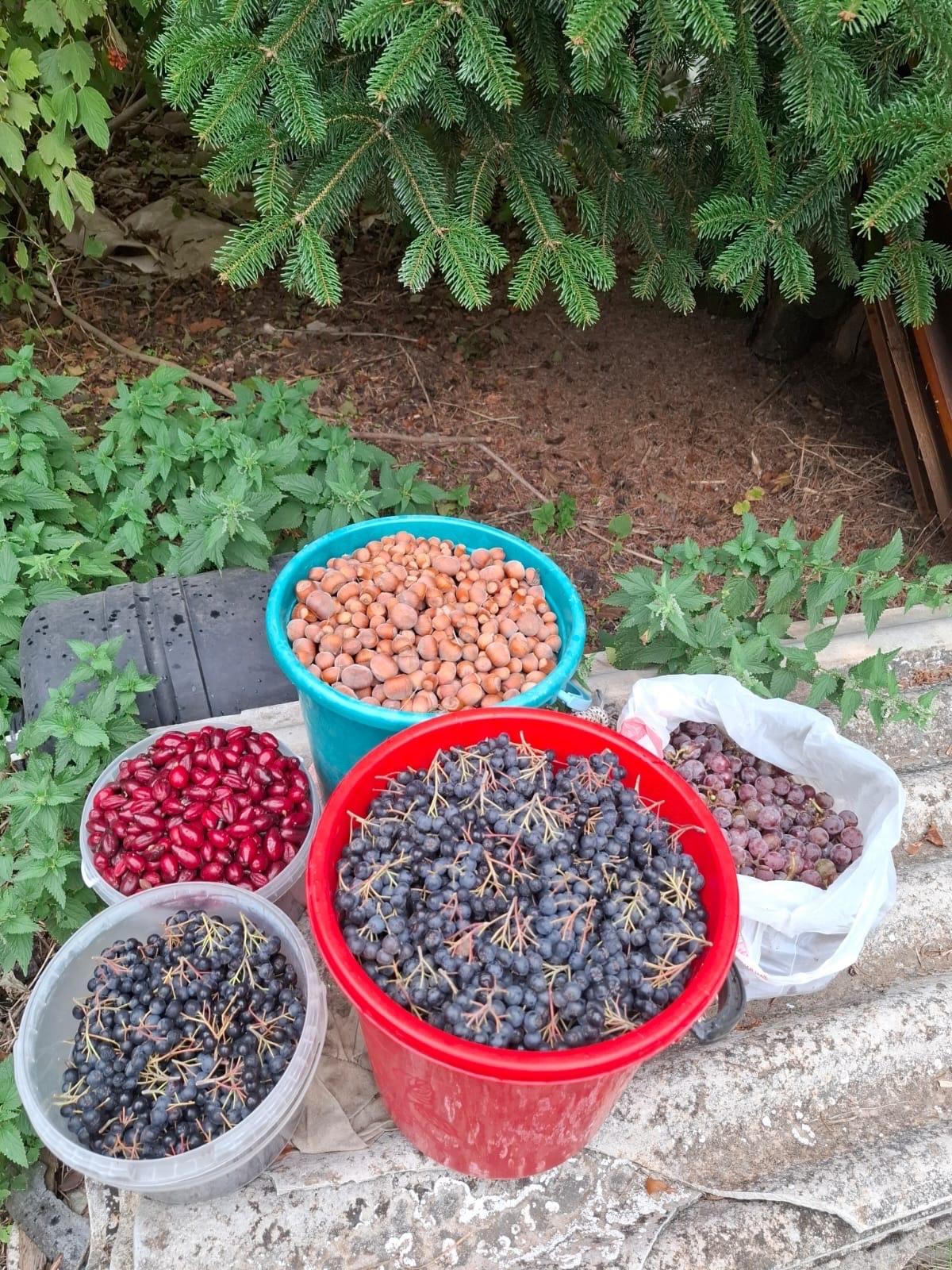 Фото №13: Земельный участок 9.38 сот. - Янтарь, мкр. Карасунский внутригородской округ, ул. Янтарная, 183