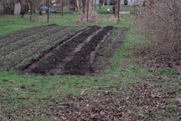 Фото №1: Участок садоводство 9.57 сот. - Янтарь, мкр. Карасунский внутригородской округ, ул. Янтарная