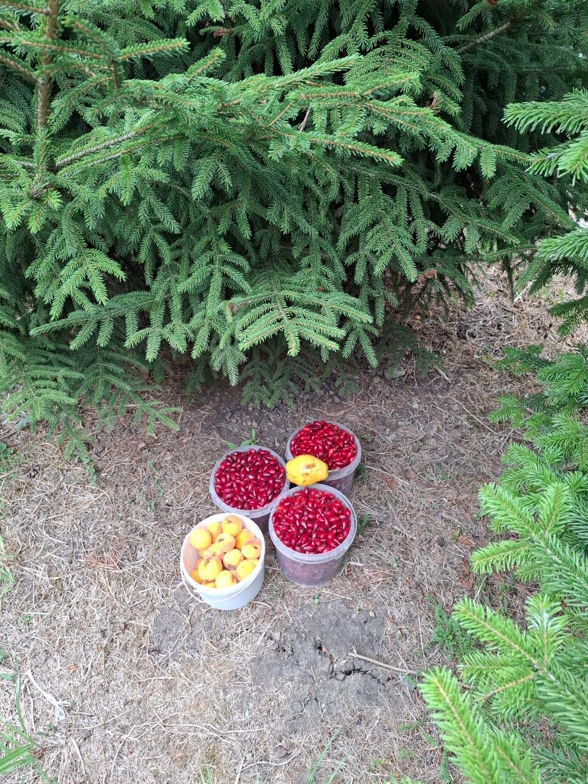 Фото №6: Земельный участок 9.57 сот. - Янтарь, мкр. Карасунский внутригородской округ, ул. Янтарная