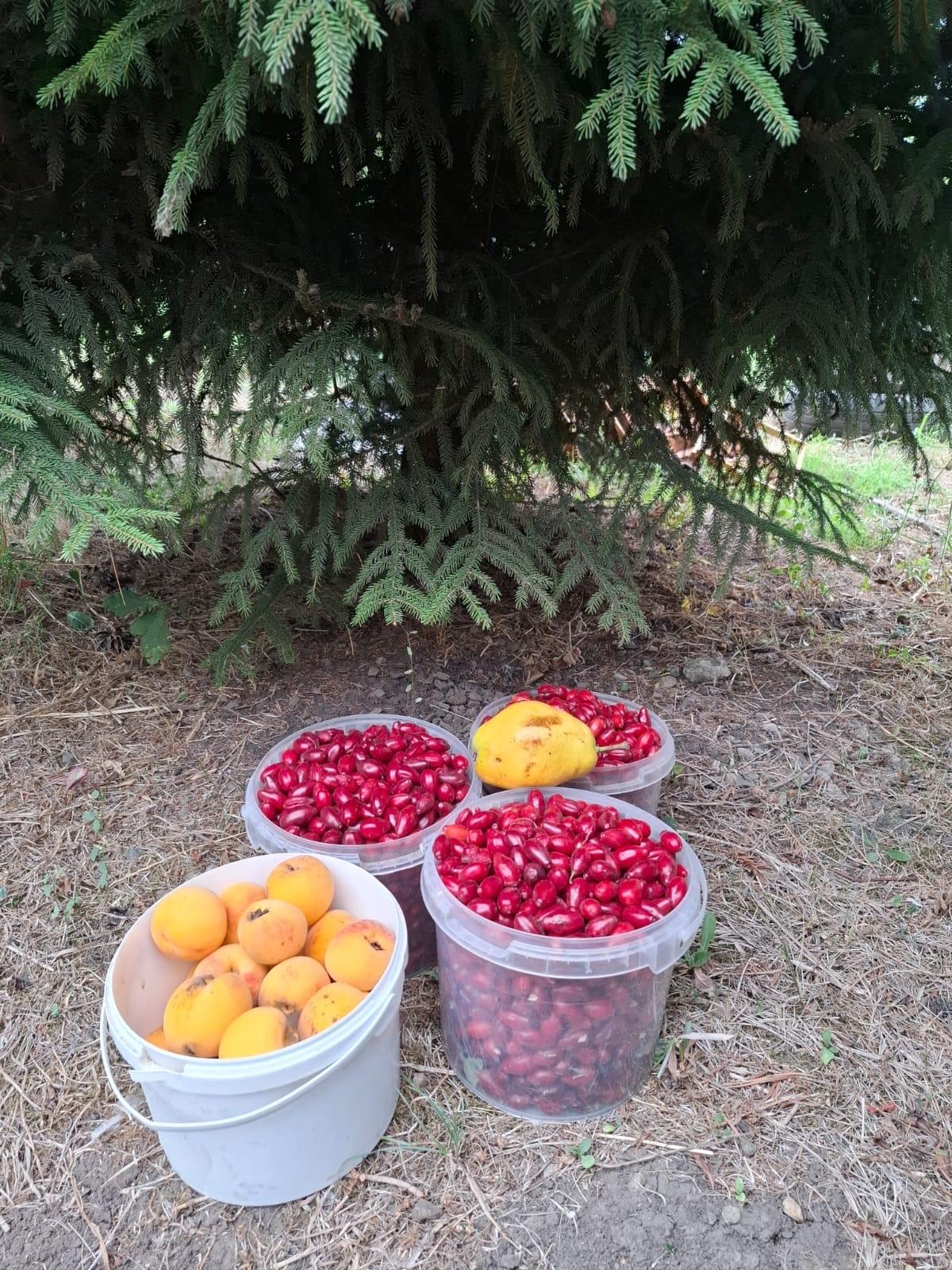 Фото №15: Земельный участок 9.57 сот. - Янтарь, мкр. Карасунский внутригородской округ, ул. Янтарная