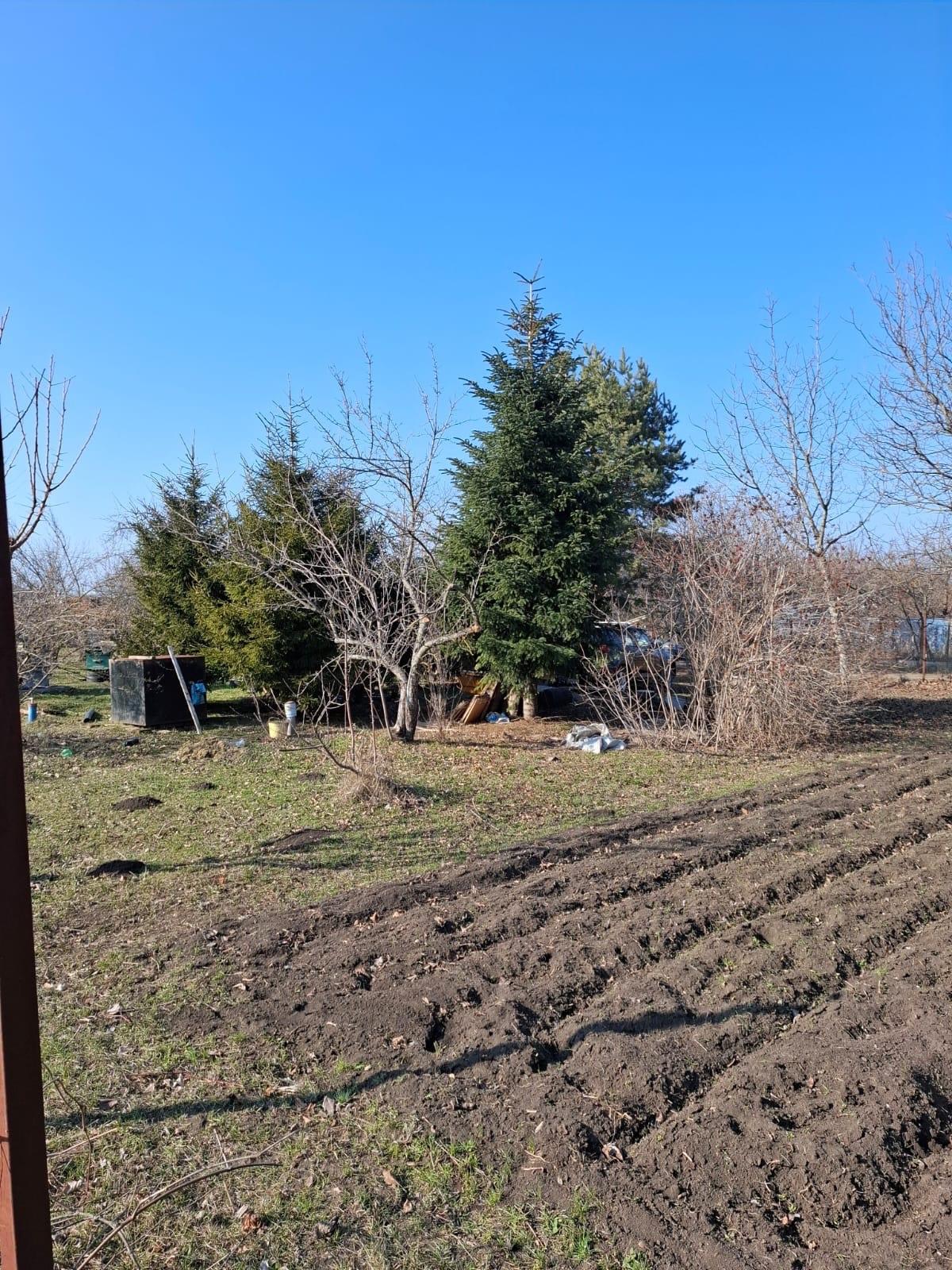 Фото №14: Земельный участок 9.57 сот. - Янтарь, мкр. Карасунский внутригородской округ, ул. Янтарная