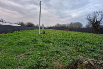 Фото №5: Коммерция 57 м² - Новый Сад, ул. Садовая