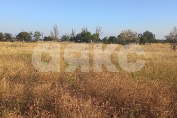 Фото №1: Земельный участок под ИЖС - Новоазовск, ул. Ореховая