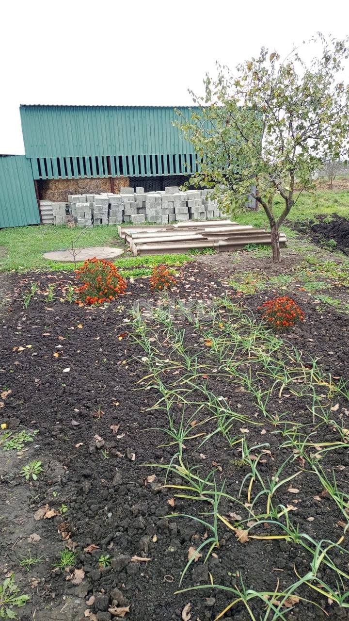 Фото №12: Дом 83 м² + 38 сот. - Келермесская, ул. Профсоюзная