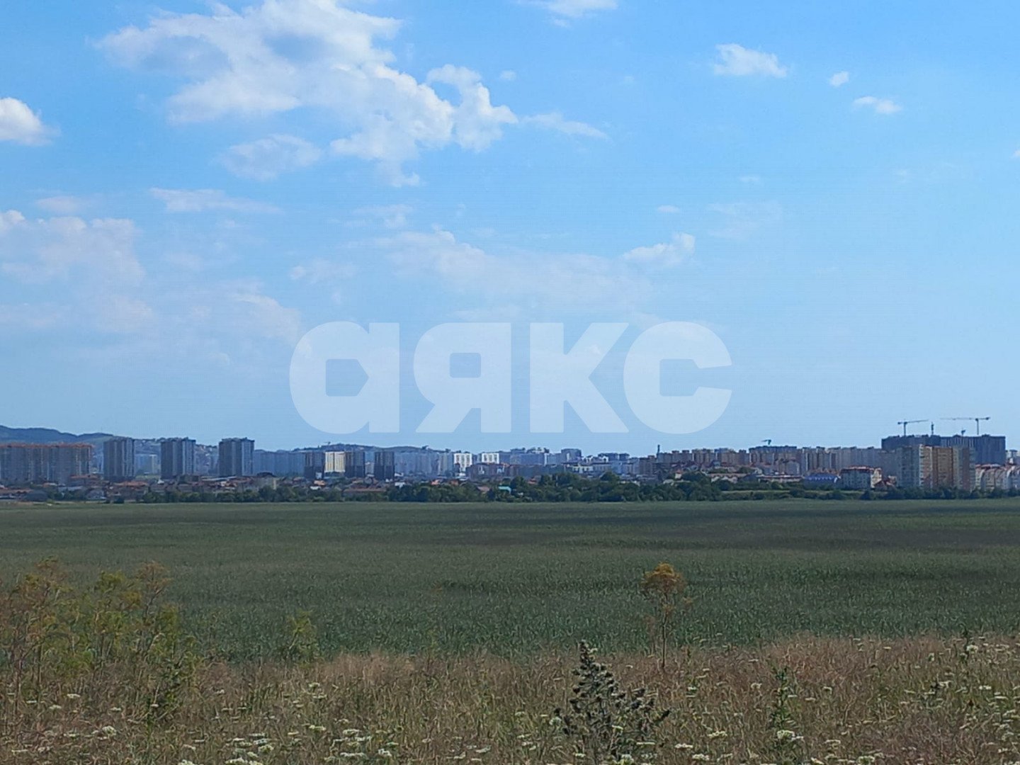 Фото №6: Личное подсобное хозяйство 4.94 сот. - Чембурка, пр-д Малый