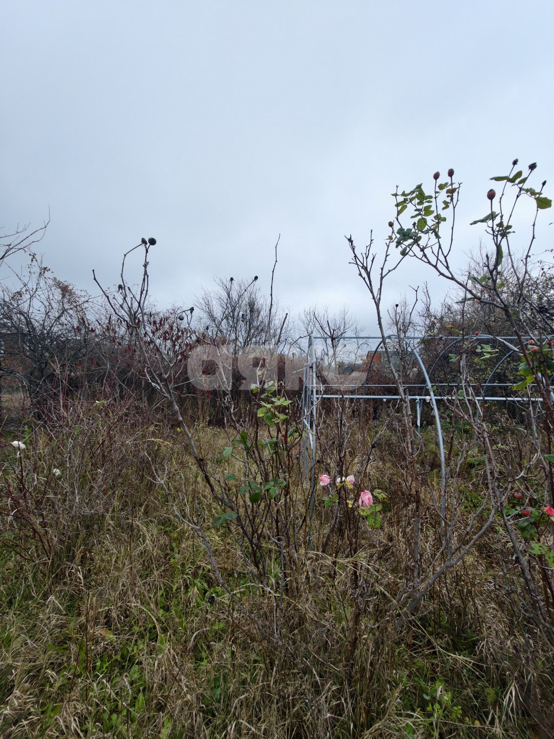 Фото №24: Дом 52 м² + 4.41 сот. - Кореновск, 2-й квартал, ул. Бувальцева, 78