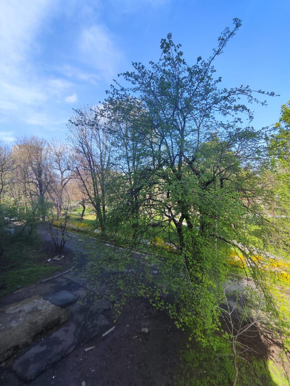 Фото №8: 2-комнатная квартира 45 м² - Краснодар, Карасунский внутригородской округ, мкр. Гидростроителей, ул. имени Игнатова, 3