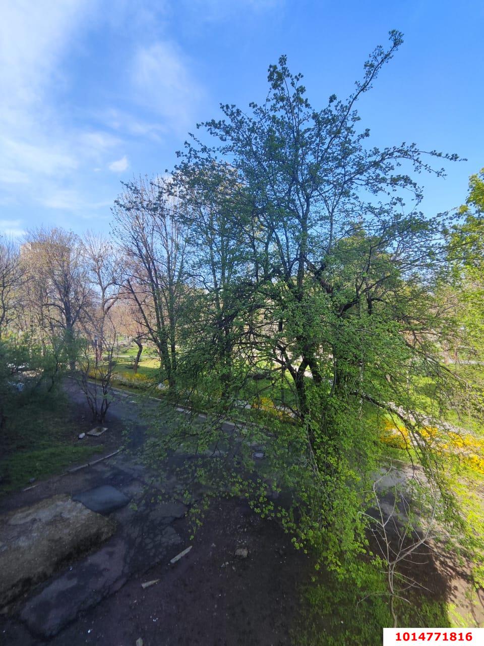 Фото №8: 2-комнатная квартира 45 м² - Краснодар, Гидростроителей, ул. имени Игнатова, 3