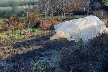 Фото №2: Земельный участок под ИЖС 6.3 сот. - Копанской, мкр. Прикубанский внутригородской округ, ул. Брусничная, 80