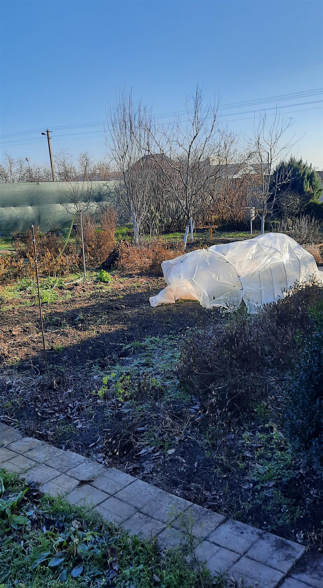 Фото №2: Земельный участок 6.3 сот. - Копанской, мкр. Прикубанский внутригородской округ, ул. Брусничная, 80