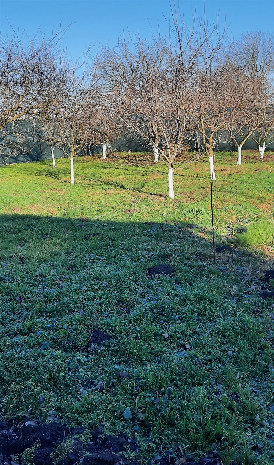 Фото №1: Земельный участок 6.3 сот. - Копанской, мкр. Прикубанский внутригородской округ, ул. Брусничная, 80