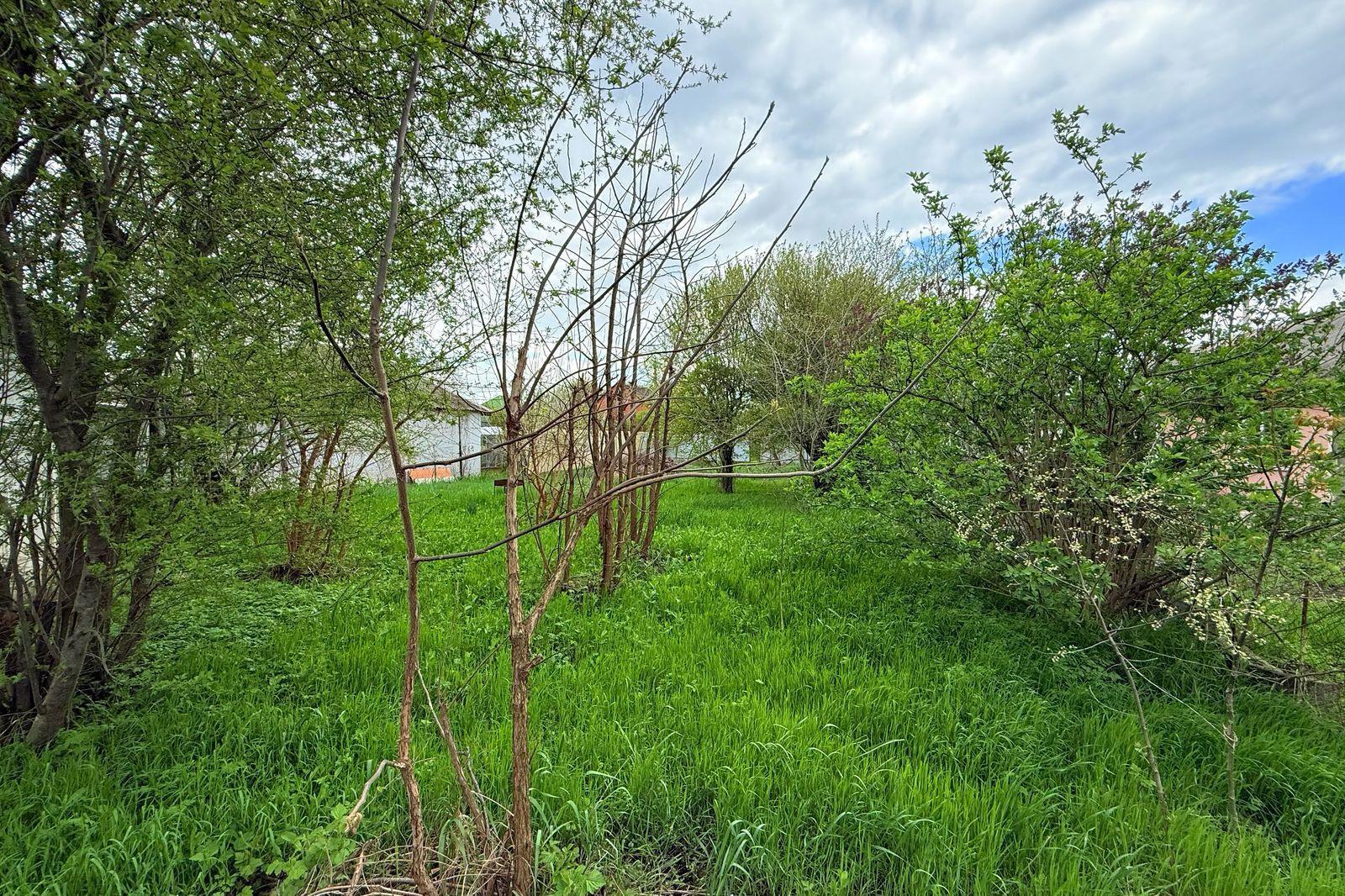 Фото №1: Земельный участок 7 сот. - № 2 АО ЮГТЕКС, мкр. Прикубанский внутригородской округ, ул. Садовая